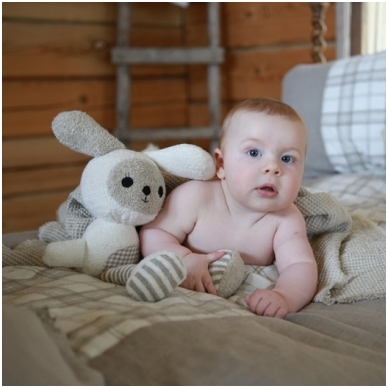 Toy Rabbit 2 Toy Rabbit 2