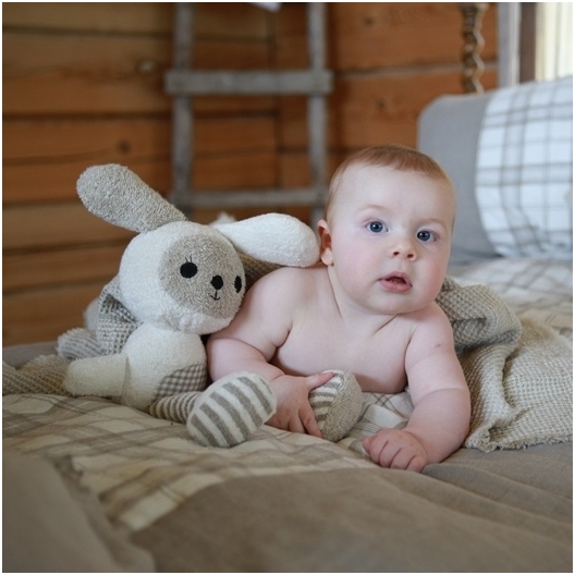 Toy Rabbit 2 Toy Rabbit 2